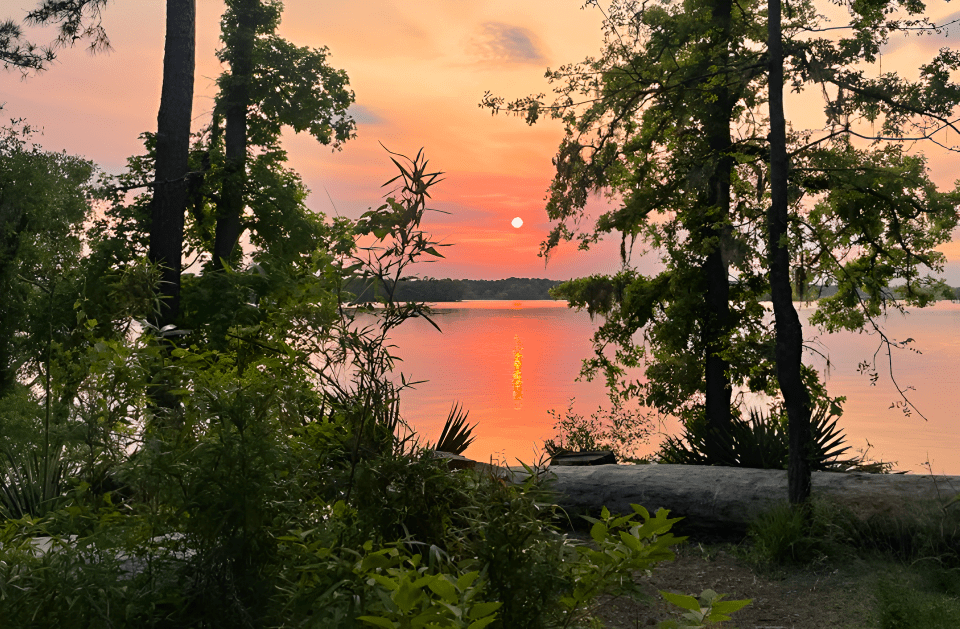 NATURE THERAPY